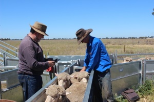 Dave Rubie at Quandialla