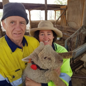 SmartShepherd happy customers holding lamb