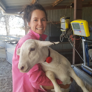 SmartShepherd happy customer holding lamb